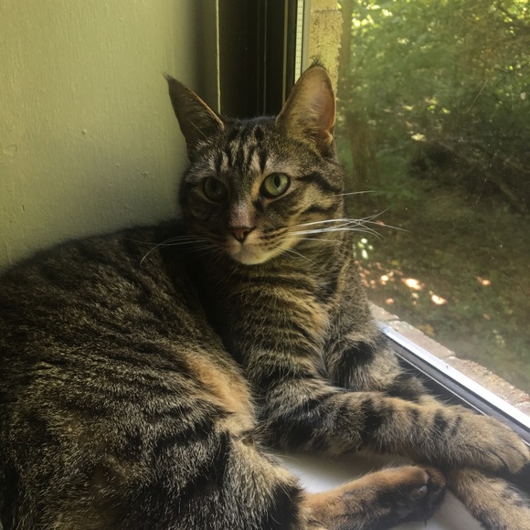 Meet your Posher - Picture 1 of 1